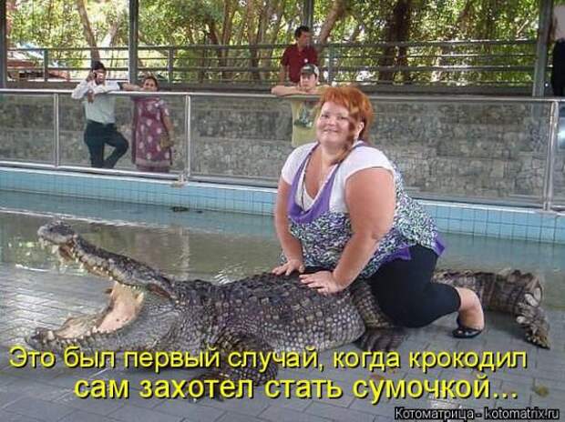 Котоматрицы(картинки с надписями)