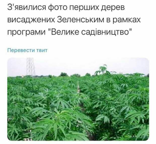 План Зеленского предотвратит глобальное потепление