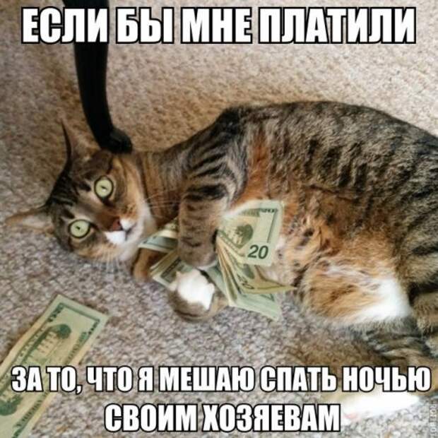 Прикольные картинки (41 шт)