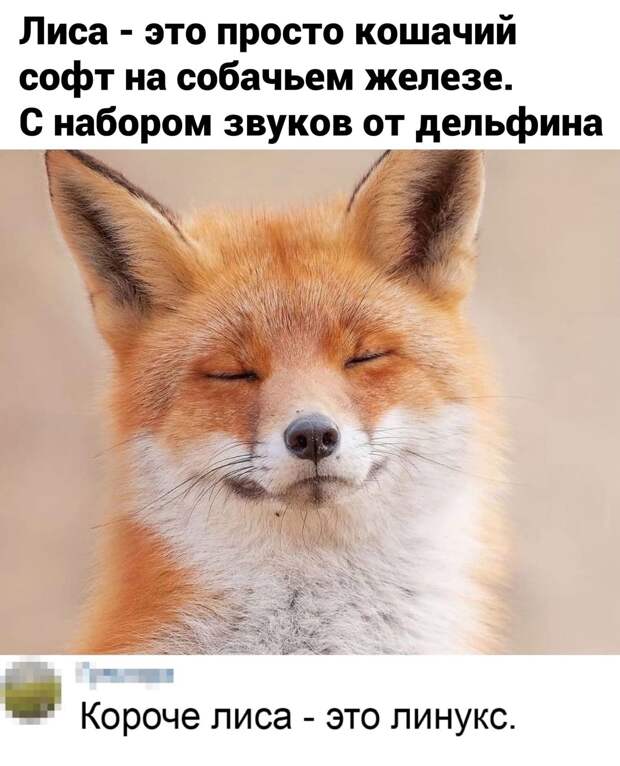 Юмор из интернета 600