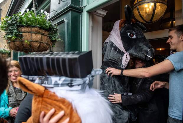 Веселая гонка лошадей London Pantomime Horse Race 2018