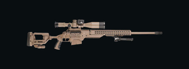 Современная реинкарнация снайперской винтовки SSG 08   - SSG M1