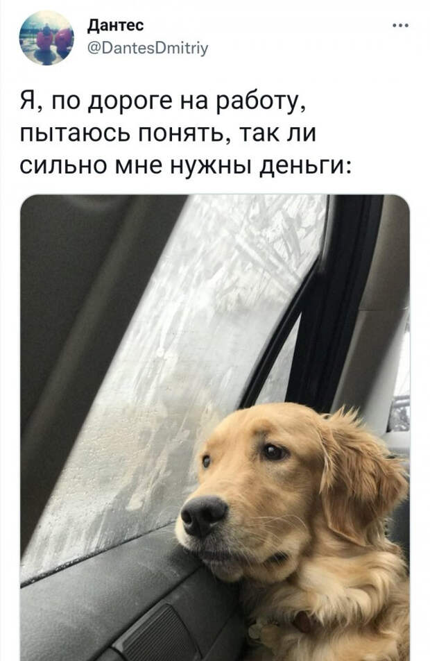 Юмор