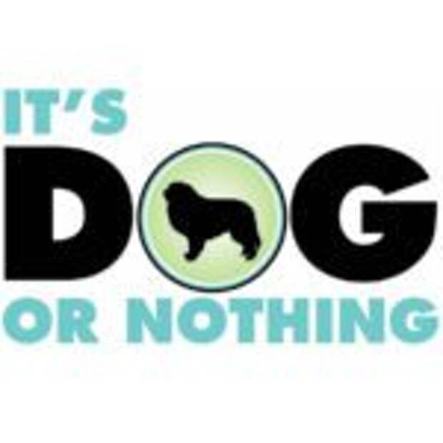 itsdogornothing-sq-150x150