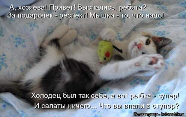 Лучшие котоматрицы недели (50 фото) Лучшие котоматрицы недели (50 фото)