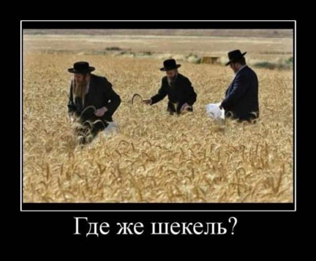 Осенние демотиваторы.