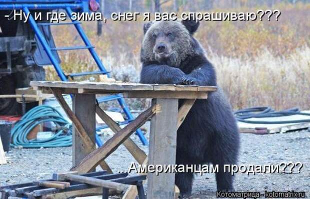 Котоматрицы (картинки с надписями)