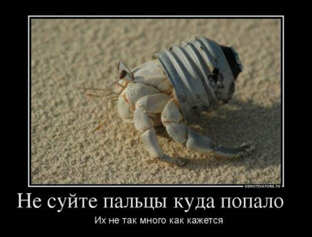 Новости прикольные в демотиваторах.