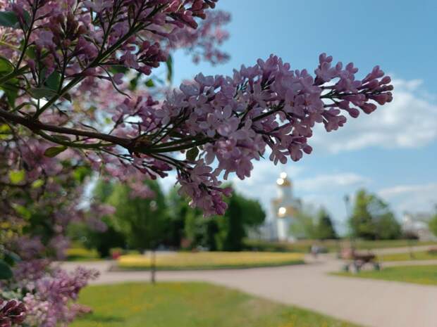 1 апреля в Ивановской области потеплеет до +19 градусов