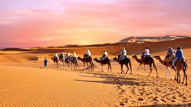 Почему Сахара из цветущего края превратилась в пустыню и есть ли шанс вдохнуть в нее жизнь?