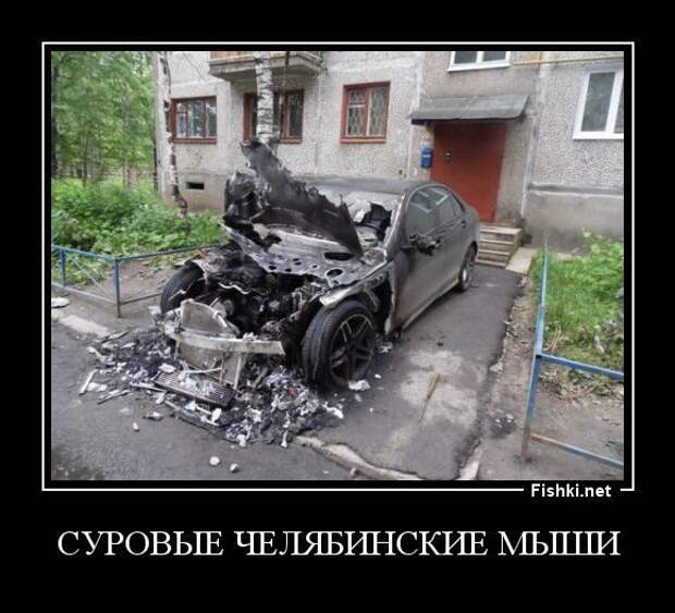 Прикольные демотиваторы