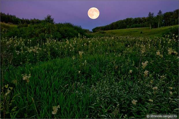 Лунная ночь полнолуние луна над лугами