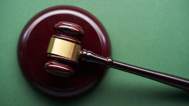 РИА Новости: дело в отношении иноагента Эйдельман вернули в суд