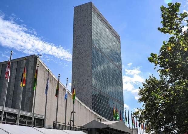 Сенатор: в ООН игнорируют нарушения международного права в отношении Новороссии