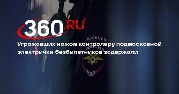 СК завел дело против устроивших дебош в подмосковной электричке безбилетников