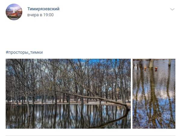 Фото дня: весенний парк в Тимирязевском
