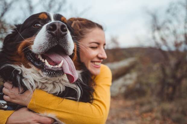 Учёные определили породы собак с самой счастливой «улыбкой»