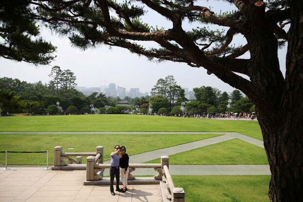 Россиянам назвали лучшие направления для поездок за интернетом в 2026 году