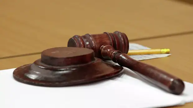 ОНК: апелляционную жалобу экс-полицейского по делу Голунова рассмотрят 29 ноября