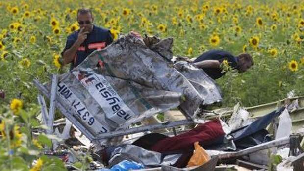 Обломки самолета MH17 Малайзийских авиалиний, разбившегося под Донецком