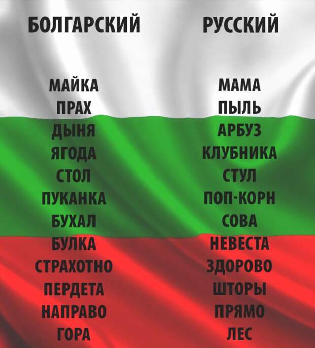 Смешные картинки с подписями  юмор, картинки, прикол