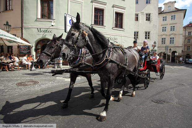 IMG_9426-1.jpg
