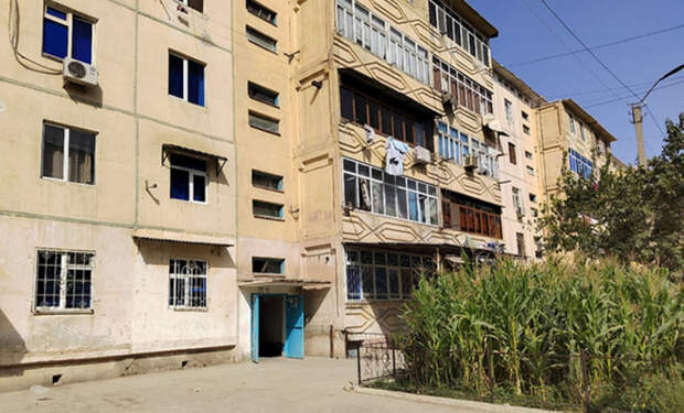 квартира в Узбекистане