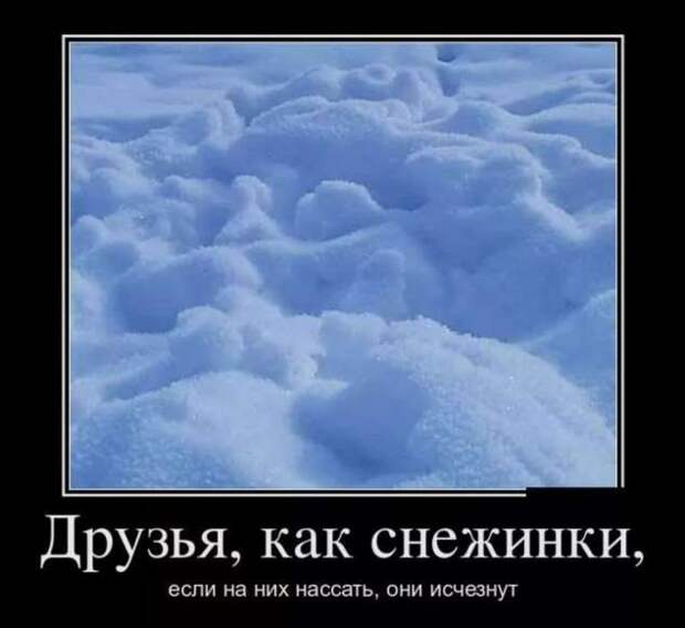 Прикольные демотиваторы с надписями. Подборка chert-poberi-dem-chert-poberi-dem-01060411082020-9 картинка chert-poberi-dem-01060411082020-9
