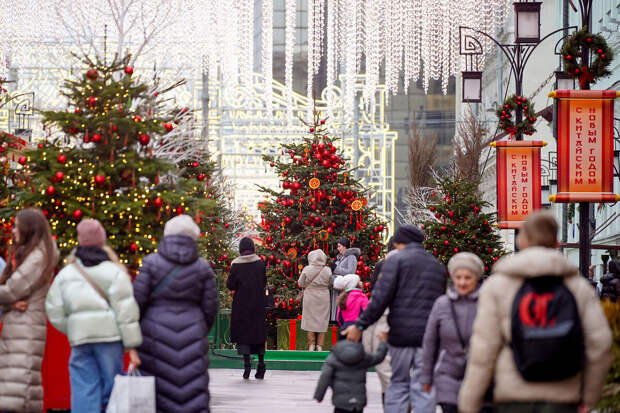 Синоптик Позднякова: в ночь на 31 декабря в Москве ожидаются морозы до -13 °C