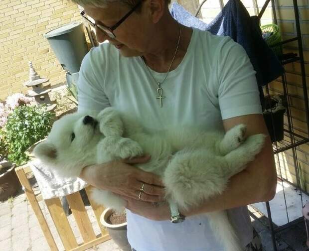 Смотрят в глаза, проявляют