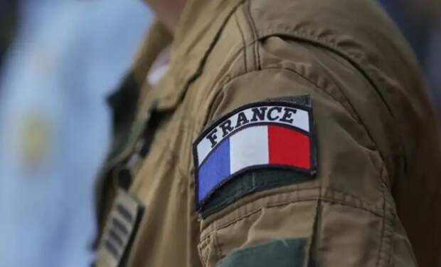 Солдаты из Франции прячутся от русских в зарослях Донбасса