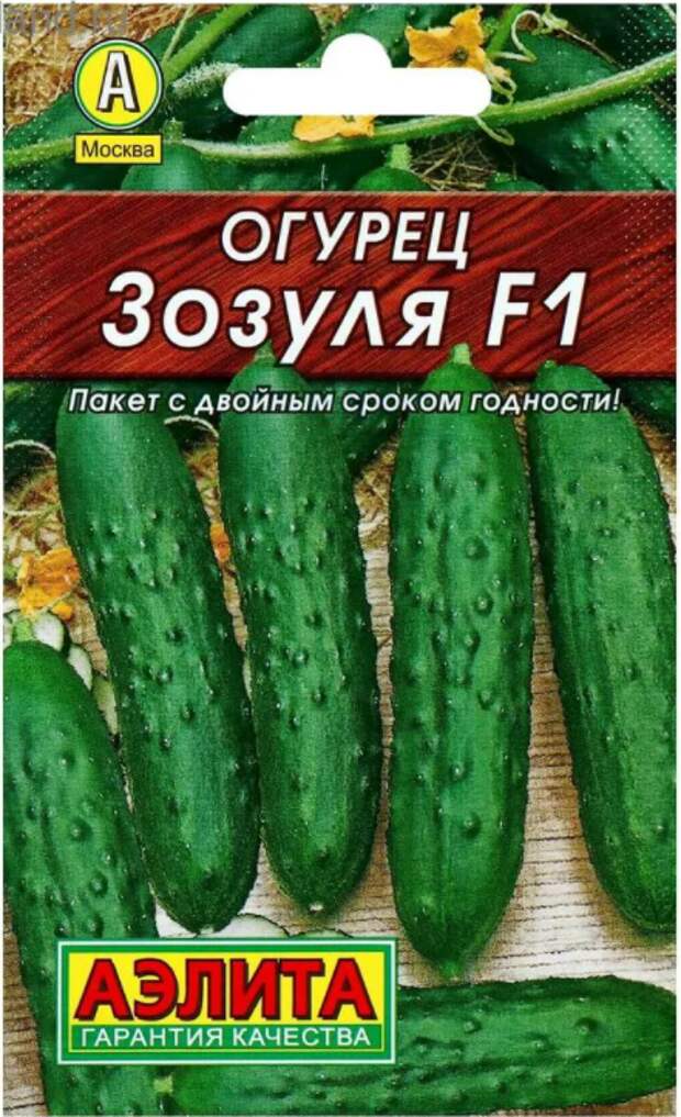 По улицам ходили большие крокодилы,а наши аллигаторы гибриды-огурцы .