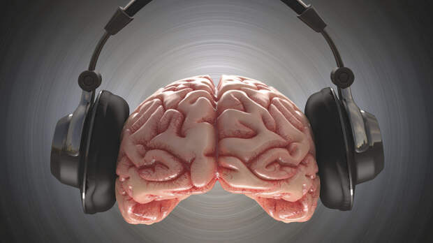 Профессор Данилов назвал музыку лучшим тренером для мозга