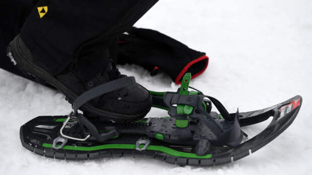 Туристы из Германии пересекли границу России со стороны Финляндии на снегоступах