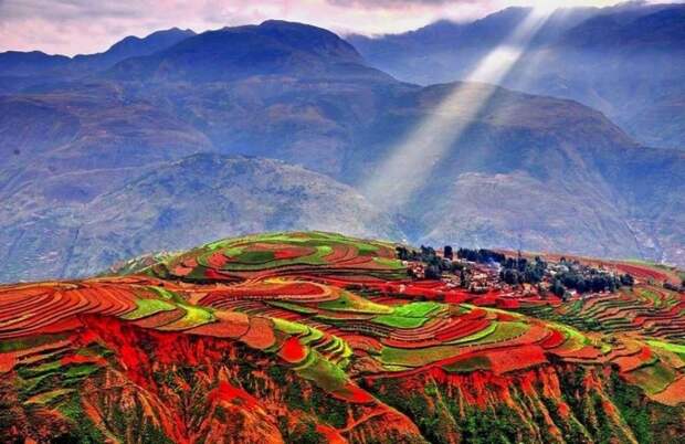 terraoko 2014 09 10 06 111 Красные террасовые поля в Китае.