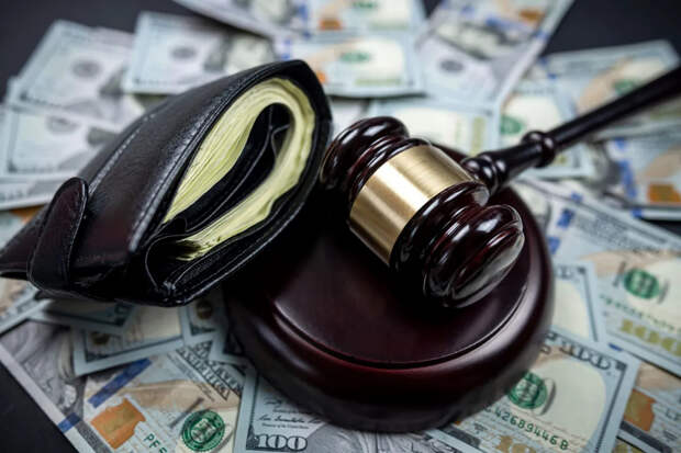 Придётся заплатить рублём: в Ленобласти эконадзор ужесточит штрафы за свалки