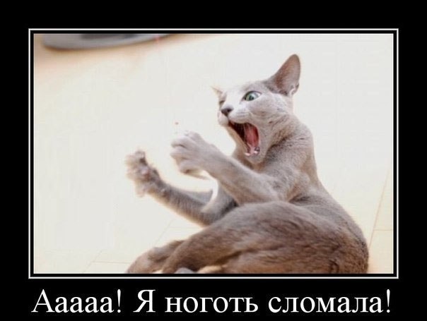 Всяко - разно 11 ))) Всяко - разно 11 )))