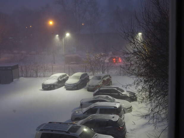 Ишегалдына нинди машиналарны куярга ярамый?