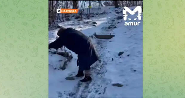 Бабушка на коленях: в Находке 77-летняя пенсионерка ползет за хлебом по льду