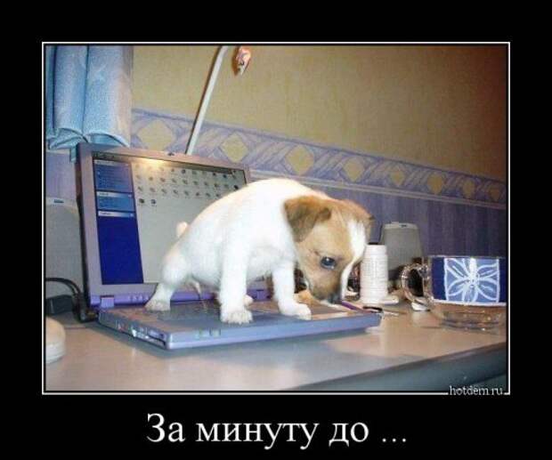 Новые демотиваторы (18 шт)