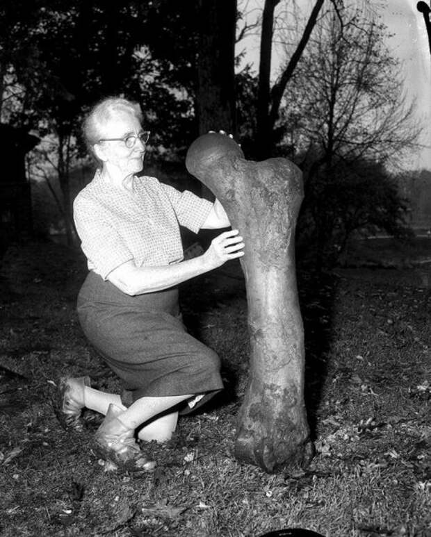 Женщина и кость мастодонта, обнаруженная на заднем дворе её дома, США, 1963 год. история, люди, мир, фото