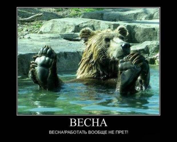 Смешные демотиваторы приколы (25 фото) Смешные демотиваторы приколы (25 фото)