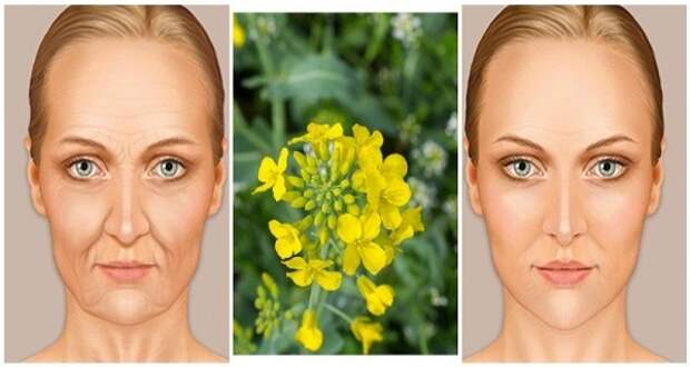 the-famous-russian-elixir-you-must-try-removes-10-to-20-years-off-your-face-and-the-effects-are-amazing