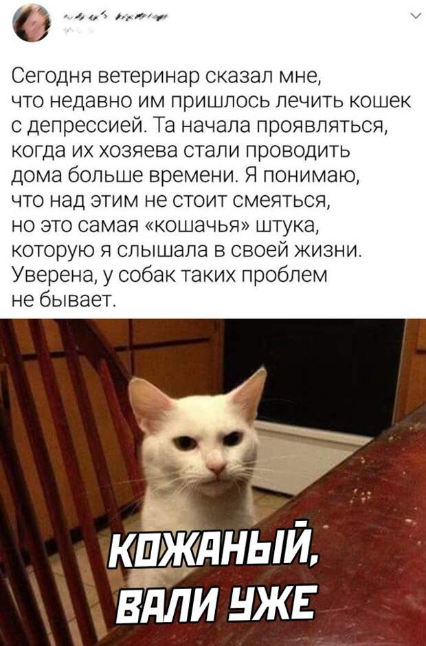 Смешные картинки 18 октября 2021 года