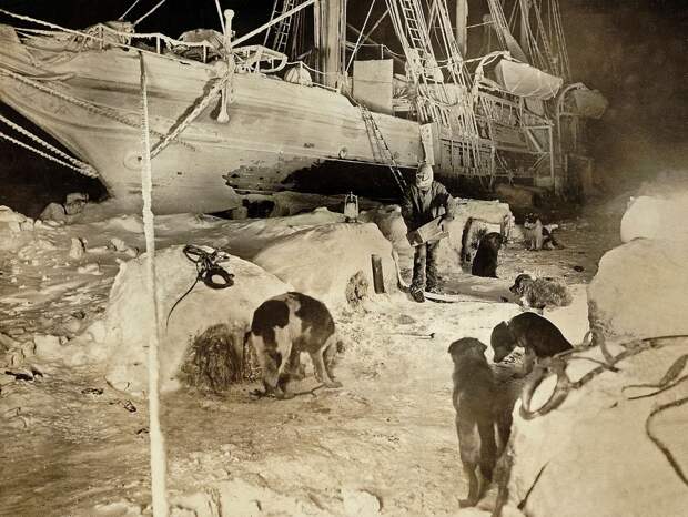Полярники нашли во льдах виски столетней выдержки и под конвоем вернули его обратно: как одна капля алкоголя из шприца свела с ума весь мир