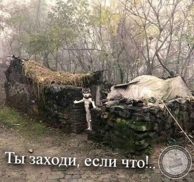 Заходи если что