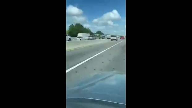 Живые раки расползлись по шоссе в США.