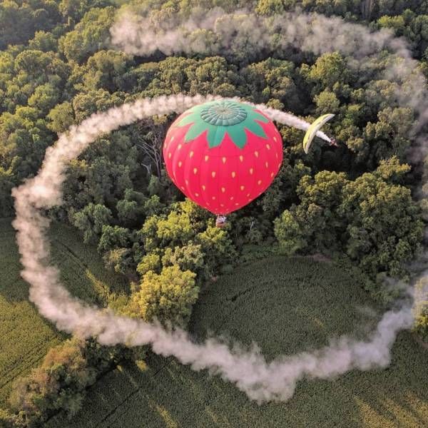 Подборка картинок. Вечерний выпуск (56 фото)