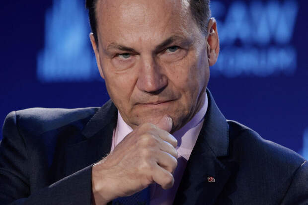 Сикорский счел подозрительно удачным стечением обстоятельств срыв атаки на "ТП"