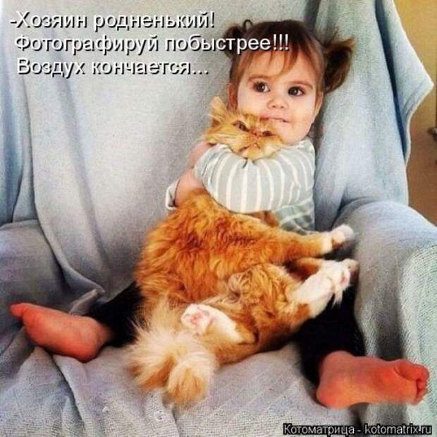 Свежая котоматрица на Бугаге (27 фото)